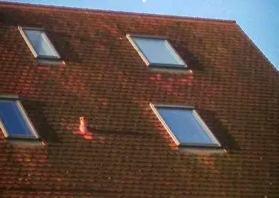 Kraenkel Holzbau Owingen Dachreinigung 007